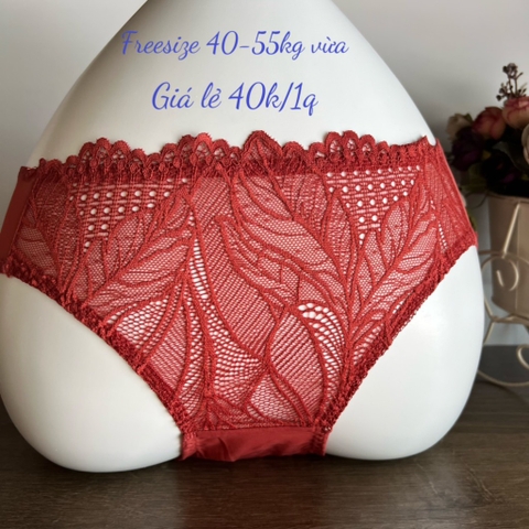Quần chip ren 242