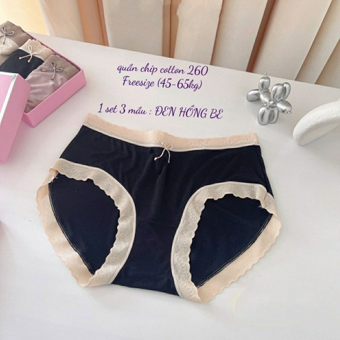 Set quần cotton 260