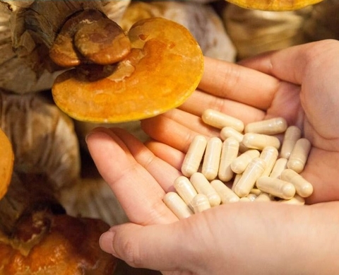 Tác dụng và cách sử dụng nấm linh chi hiệu quả trong chăm sóc sức khỏe