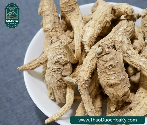 5 điều cần biết khi sử dụng nhân sâm Hoa Kỳ