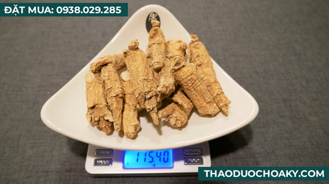 Nhân sâm Hoa Kỳ nguyên củ sấy khô - Size Large