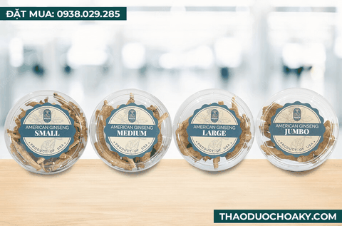 Nhân sâm Hoa Kỳ nguyên củ sấy khô - Size Medium