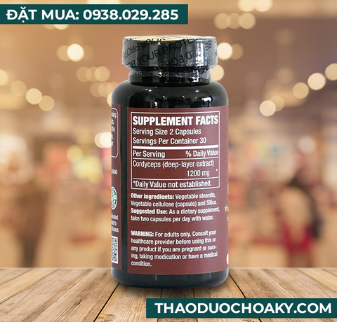 Viên nang Đông trùng hạ thảo