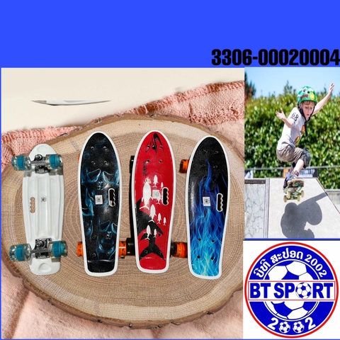 ແຜ່ນສະເກັດ ລາຍປາສະຫລາມ