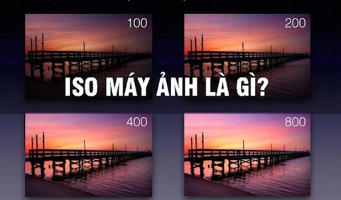 ISO là Gì Trong Máy Ảnh? Cách Điều Chỉnh ISO Để Chụp Ảnh Đẹp