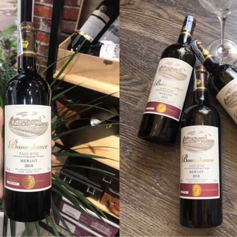 Rượu vang Pháp Bonechance Bordeaux Merlot
