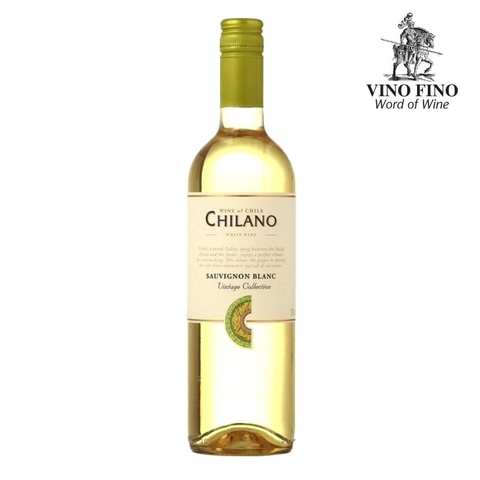 Rượu vang Chile Chilano Sauvignon Blanc