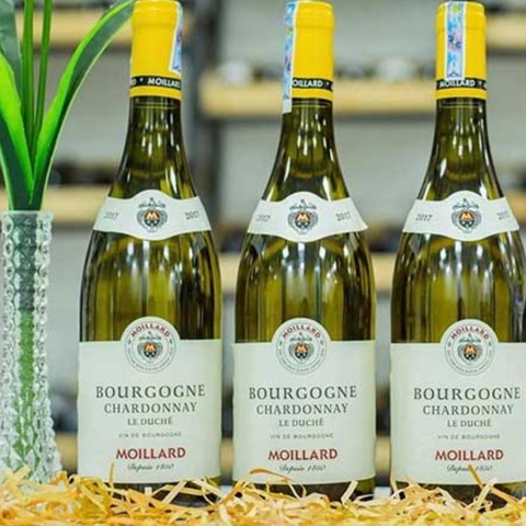 Rượu vang Pháp Moillard Bourgogne Chardonnay