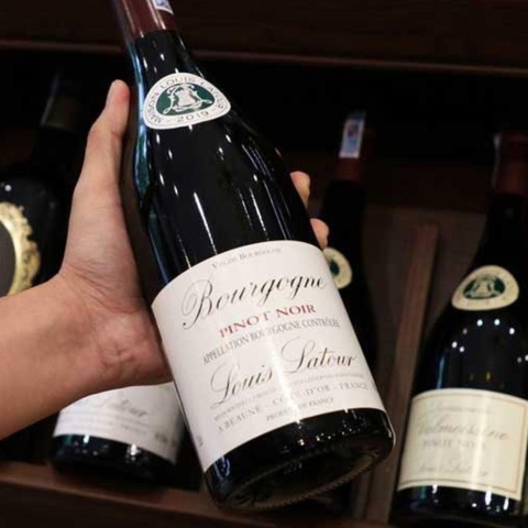 Rượu vang Pháp Moillard Bourgogne Pinot Noir