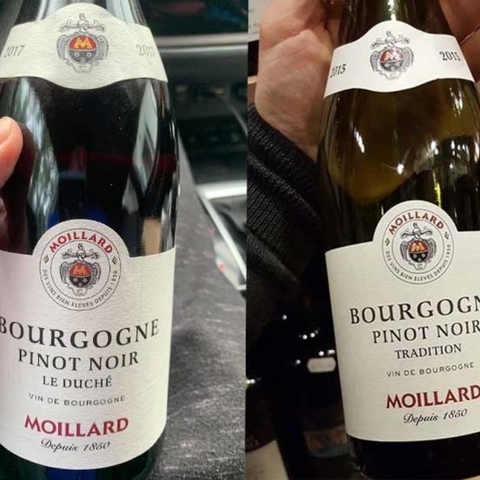 Rượu vang Pháp Moillard Bourgogne Pinot Noir