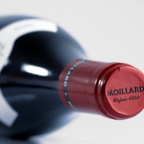 Rượu vang Pháp Moillard Bourgogne Pinot Noir (elevé en futs)