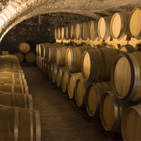 Rượu vang Pháp Moillard Bourgogne Pinot Noir (elevé en futs)