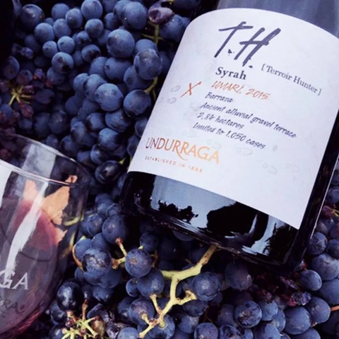 Rượu vang Chile TH Syrah