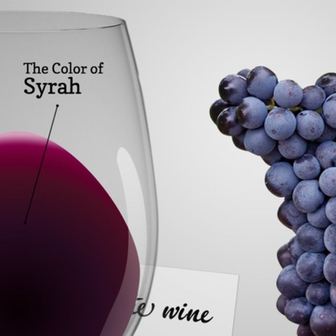 Rượu vang Chile TH Syrah