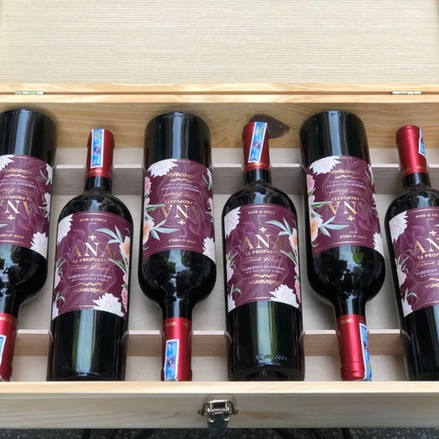 Rượu vang Undurraga Ana La Propuesta Grand Carbernet Sauvignon