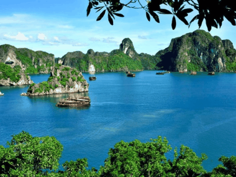 Family tour Vietnam