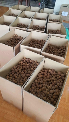 Vải Thiều sấy khô