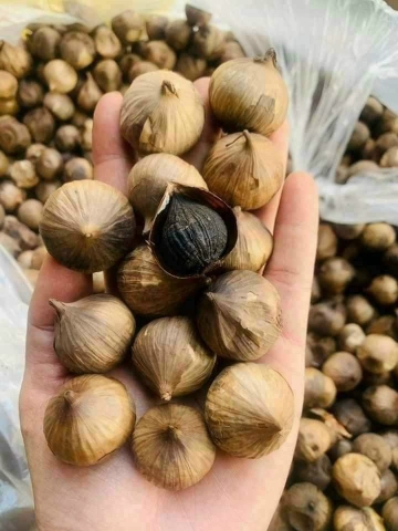 Tỏi đen