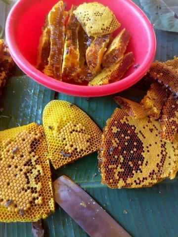Mật ong đá