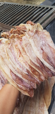 Khô mực ống xịn