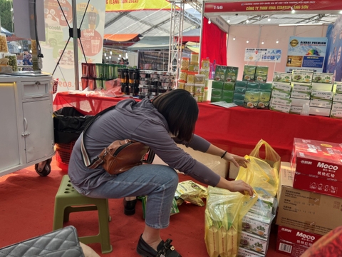 Trà diếp cá