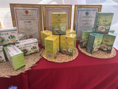 Trà diếp cá