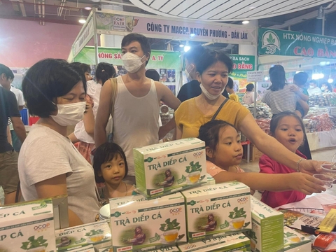 Trà diếp cá