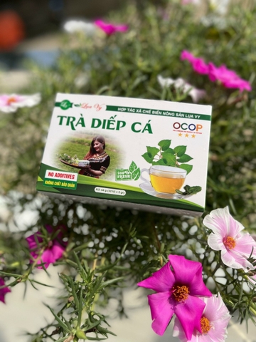 Trà diếp cá