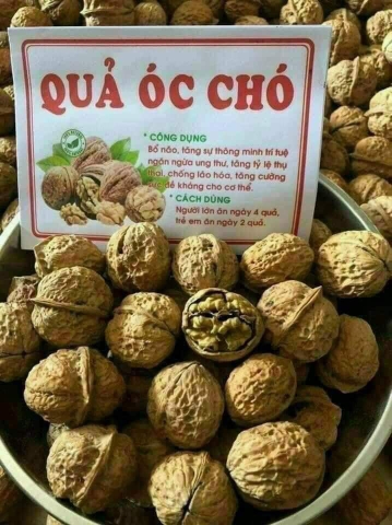 Hạt óc chó