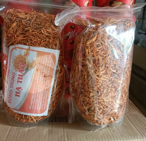 Đông trùng hạ thảo