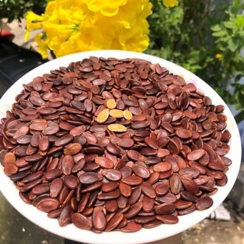 Hạt dưa Phong Ký