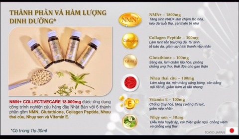 NMN COLLAGE CẢI LÃO HOÀNG ĐỒNG