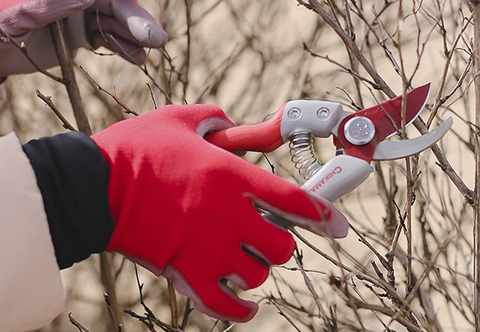 Tuyển chọn bộ dụng cụ làm vườn mini lực bấm mạnh, tỉa cành ngọt lịm