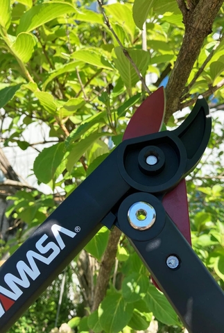 Hỏi – Đáp Kéo cắt cành cộng lực Chikamasa LP-450 anh cả tay to