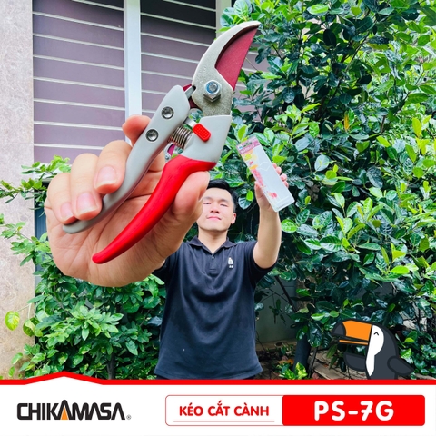 Đánh giá kéo cắt cành Chikamasa PS-7G lưỡi vòng tỉa cành hái quả