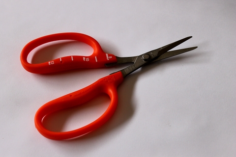 Kéo cắt nho Nhật Bản nhỏ xinh nâng niu chùm trái ngọt