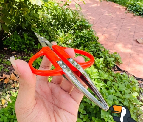 Bộ sưu tập kéo cắt nho siêu nhẹ linh hoạt tạo dáng