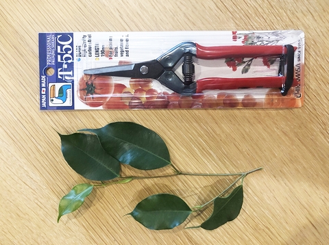 Mua dụng cụ làm vườn ở TPHCM loại nào bén ngọt lực bấm mạnh?