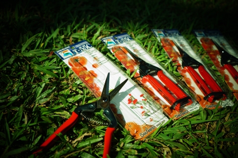 Kéo tỉa cành loại nào ít gây dập cắt sạch đẹp xài bền?