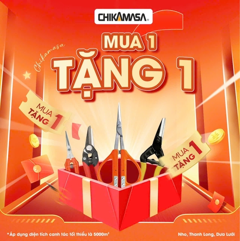 CHIKAMASA | MUA 1 TẶNG 1 | SĂN KÉO NHẬT GIÁ CHẤT