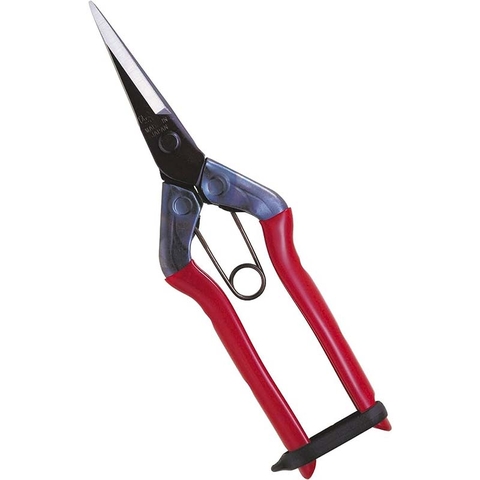 Kéo tỉa cành Chikamasa T-550