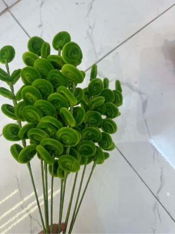 Cành lá táo kẽm nhung