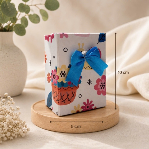 Hộp quà N9 VQ6 1311