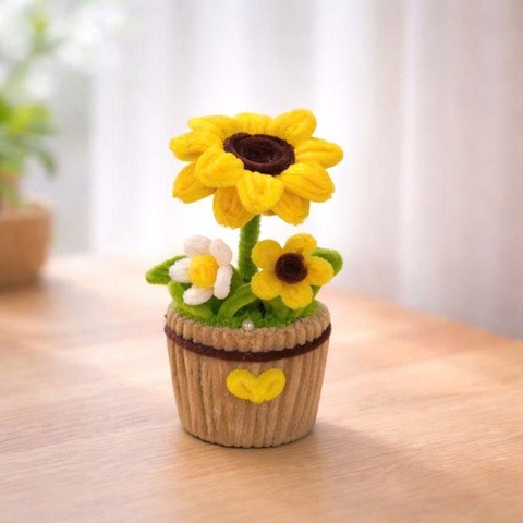 Chậu hoa hướng dương kẽm nhung