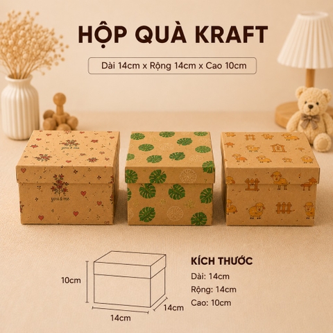 Hộp quà VC 14x14cm NT