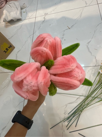 Hoa kẽm nhung Tulip 6 cánh