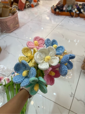 Hoa len cúc cánh gỗ