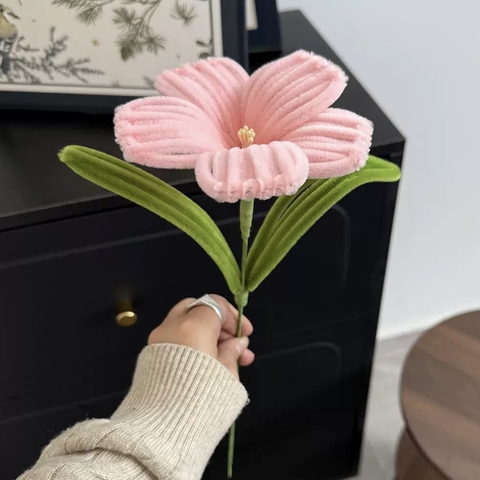 Hoa kẽm nhung râm bụt