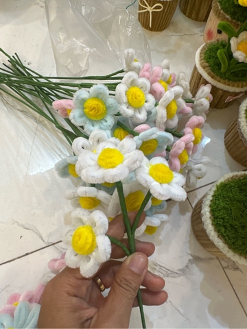 Hoa kẽm cúc 3 cành