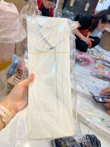 Túi quà trong trơn S1